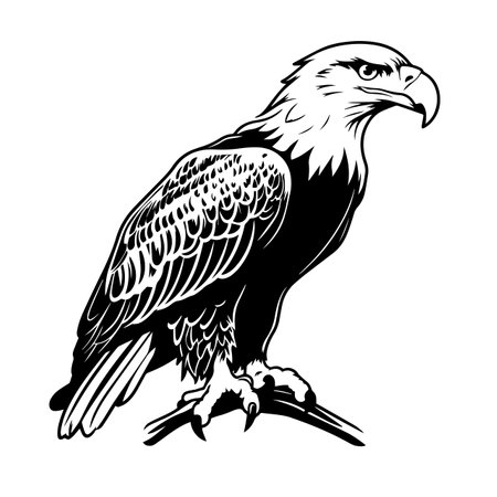 Eagle silhouette vector illustration. Eagle silhouette, Icon and Sign.のイラスト素材