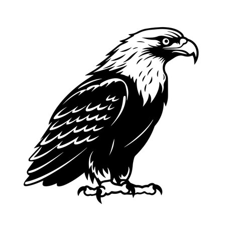 Eagle silhouette vector illustration. Eagle silhouette, Icon and Sign.のイラスト素材