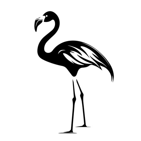 Flamingo silhouette vector illustration. Flamingo silhouette, Icon and Sign.のイラスト素材