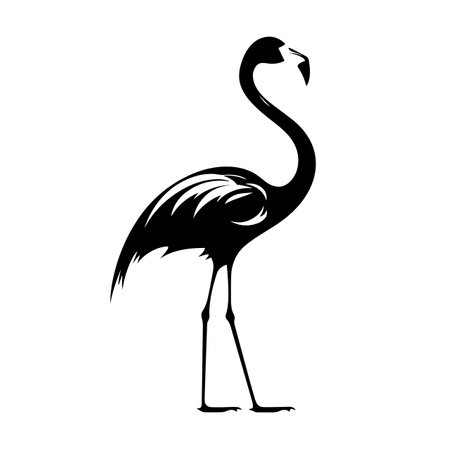 Flamingo silhouette vector illustration. Flamingo silhouette, Icon and Sign.のイラスト素材
