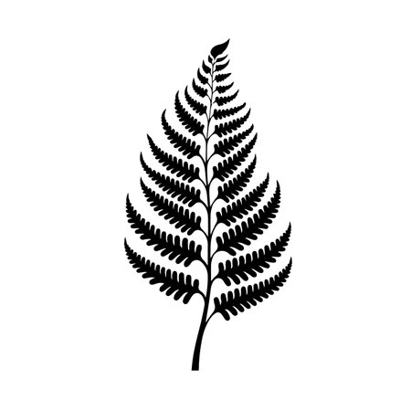 Flourishing Fern silhouette vector illustration. Flourishing Fern silhouette, Icon and Sign.のイラスト素材