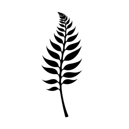 Flourishing Fern silhouette vector illustration. Flourishing Fern silhouette, Icon and Sign.のイラスト素材