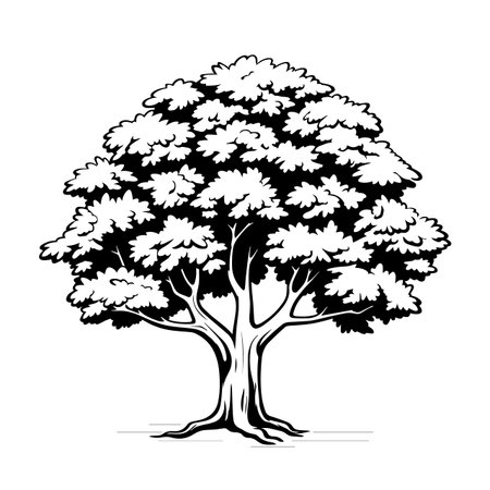 Maple tree silhouette vector illustration. Maple tree silhouette, Icon and Sign.のイラスト素材