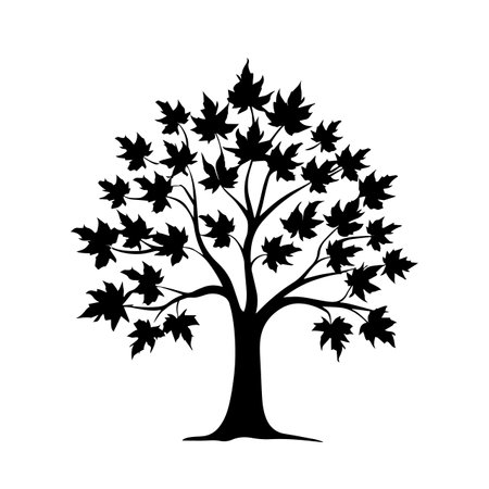 Maple tree silhouette vector illustration. Maple tree silhouette, Icon and Sign.のイラスト素材