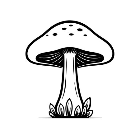 Mushroom silhouette vector illustration. Mushroom silhouette, Icon and Sign.のイラスト素材