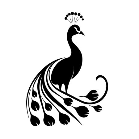 Peacock silhouette vector illustration. Peacock silhouette, Icon and Sign.のイラスト素材