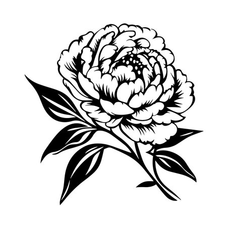 Peony silhouette vector illustration. Peony silhouette, Icon and Sign.のイラスト素材
