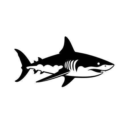 Shark silhouette vector illustration. Shark silhouette, Icon and Sign.のイラスト素材