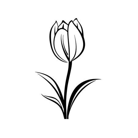Tulip silhouette vector illustration. Tulip silhouette, Icon and Sign.のイラスト素材