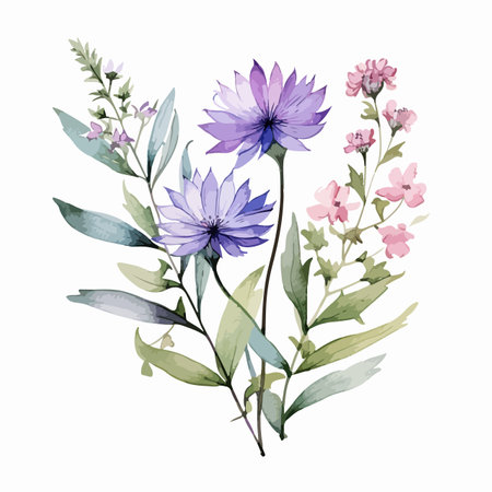 Watercolor vector illustration of a hand painted set with wild herbs and spices.のイラスト素材
