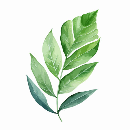 Watercolor vector illustration of a set featuring herbs, wildflowers, and spices.のイラスト素材