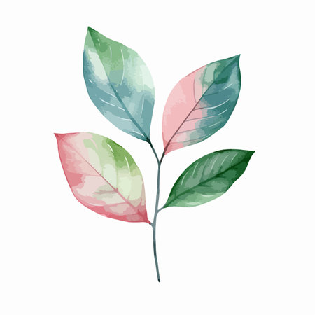 Watercolor vector illustration of a set featuring herbs, wildflowers, and spices.のイラスト素材