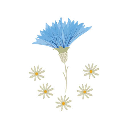 hand drawn three cornflower and daisy flower vector illustration. creative floral designs for fabric, wrapping, wallpaper, textile, apparel.の写真素材