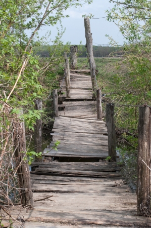 Wooden bridgeの写真素材