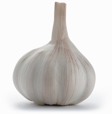 Garlic bulb isolated on white with clipping pathの写真素材