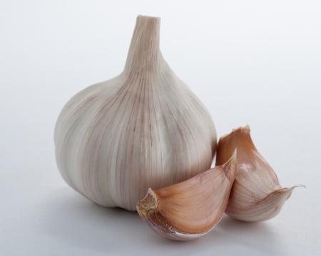 Garlic on white backgroundの写真素材