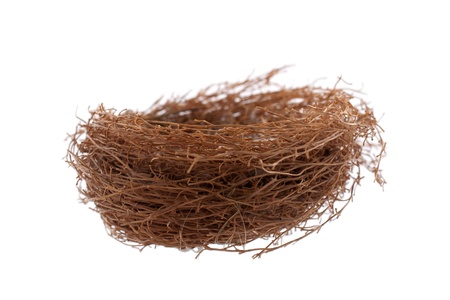 Nest isolated on whiteの写真素材