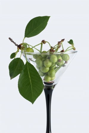 Unripe green cherry in martini glassの写真素材