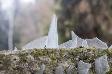 Wall with glass pieces for protection of intrudersの写真素材