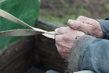 Hands of an old man holding reins on his horsecart.の写真素材