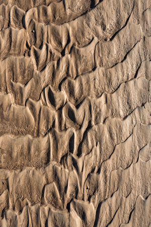 Traces of flowing water on the sandの写真素材