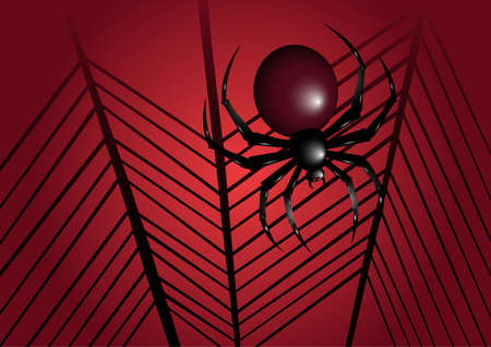 Halloween spider illustration. Spider background. Halloween web and spider illustration.のイラスト素材