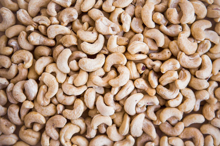 Texture of acajou. Background or pattern with acajou.の写真素材