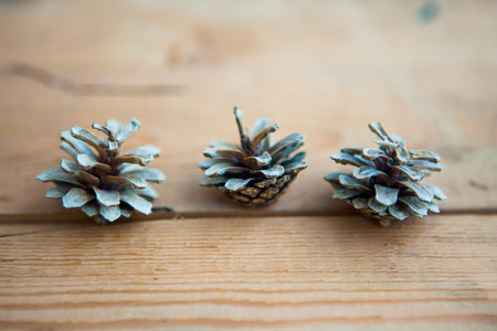 Three bleached pine cones on wooden background