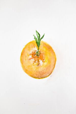 drawing of orange isolated on white background. Illustration of orange.の写真素材