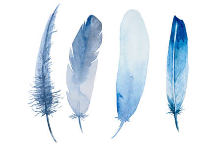 Set of watercolor brown feathers on white background. Bird's feather. Variegated feather.の写真素材