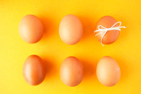 Brown eggs in two rows on yellow background.の写真素材