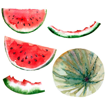 Watercolor drawing of watermelon isolated on the white background. Hand painted illustration of red watermelon.の写真素材