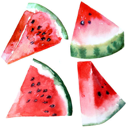Watercolor drawing of watermelon isolated on the white background. Hand painted illustration of watermelon slices.の写真素材