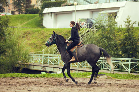 Young girl sits astride a gray horseの写真素材