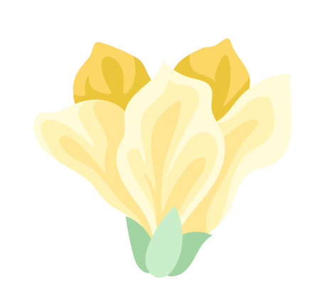 Beautiful yellow flowerのイラスト素材
