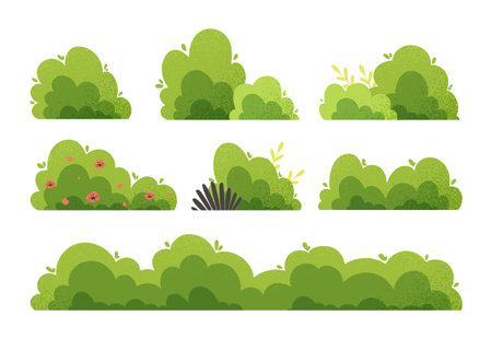 Different bushes setのイラスト素材