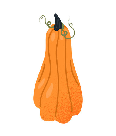 Orange pumpkin iconのイラスト素材