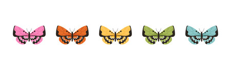 Colorful butterflies setのイラスト素材