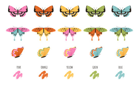 Colorful butterflies setのイラスト素材