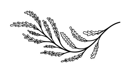 Line art branchのイラスト素材