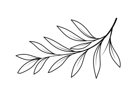 Line art branchのイラスト素材
