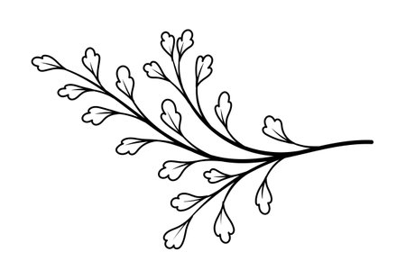 Line art branchのイラスト素材