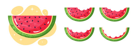 Set of watermelons slicesのイラスト素材
