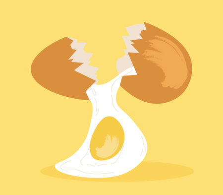Broken chicken egg
