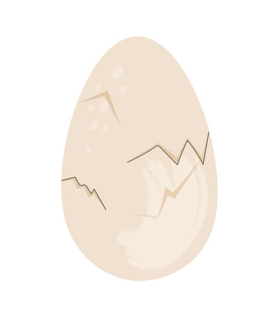 Cracked chicken eggのイラスト素材