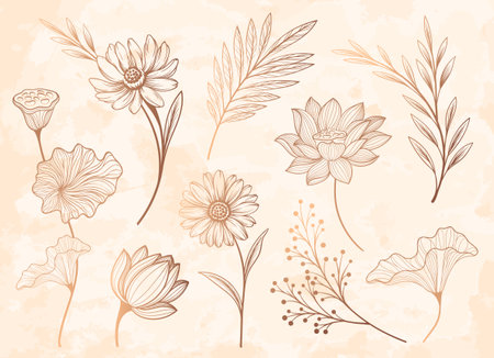 Gold floral outline setのイラスト素材
