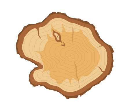 Wood slice conceptのイラスト素材