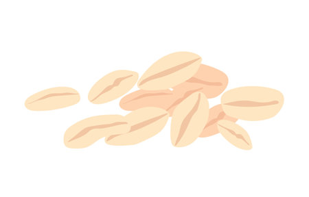 Oatmeal white grains conceptのイラスト素材