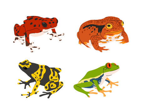Set of tropical colorful frogs concept