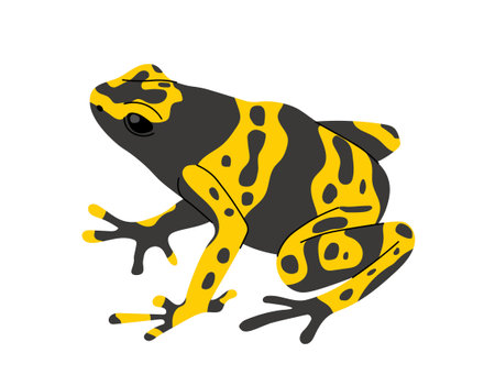 Tropical colorful frog conceptのイラスト素材